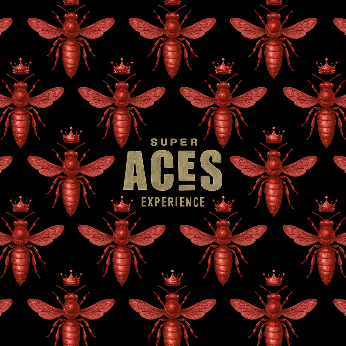 Super ACES Experience | Du 24 au 27 septembre 2026 × Château de Chignat