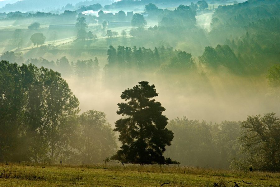 Auvergne_lParc_naturel_regional_livradois_forez_PH4-PAYS-63-LIVR-2_DSC2629